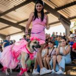 Desfile de Carnaval de Mascotas de la Alcaldía de Maracaibo innova en 2025 con comparsas caninas ‘Ladridos de Alegría’